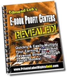 E-Book Profit Centers Revealed