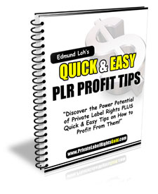 Quick & Easy PLR Profit Tips